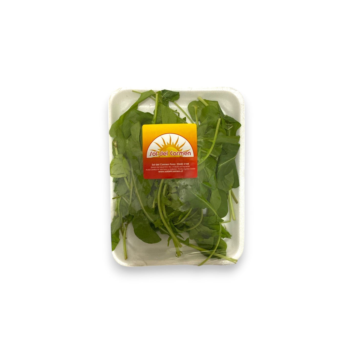 Menta bandeja Sol del Carmen 50 g