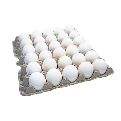 Bandeja de 30 huevos blancos SX
