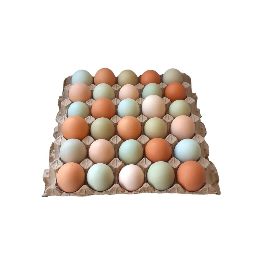 Bandeja de 30 huevos de campo