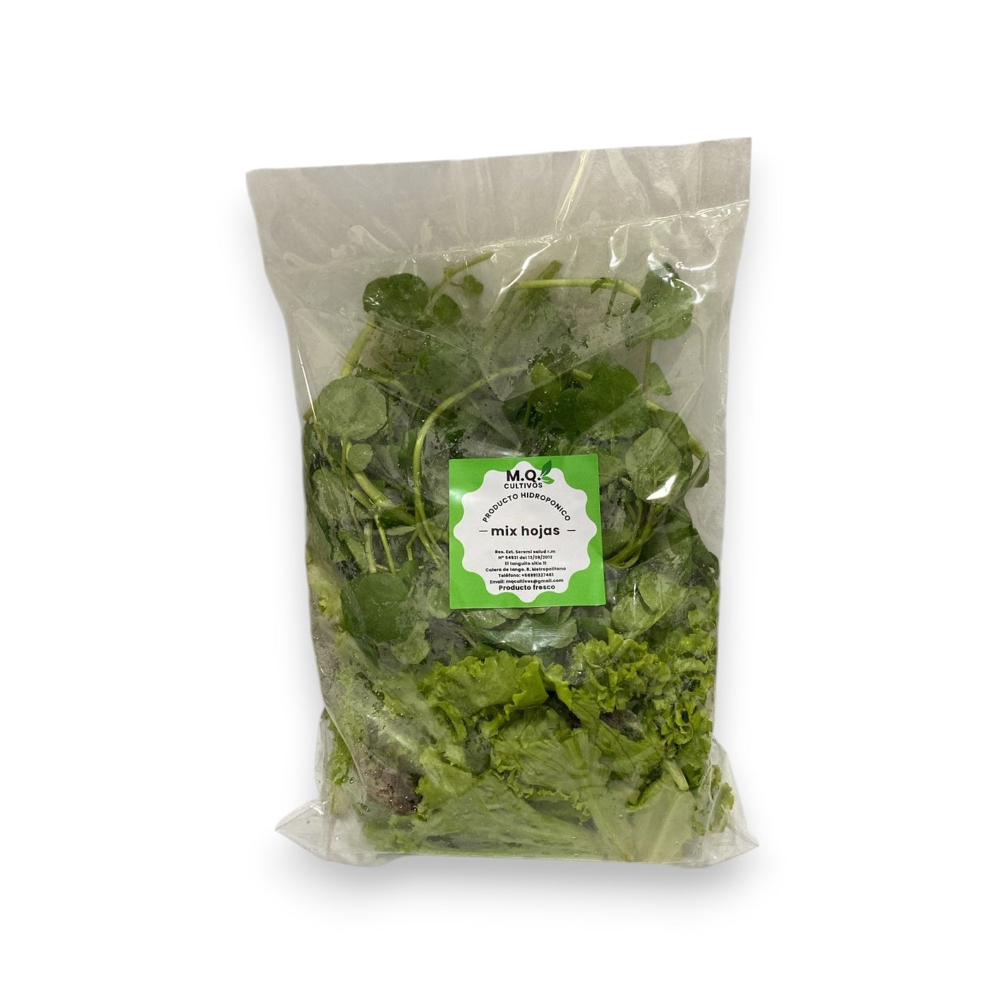 Mix hojas envasadas bolsa 150 g
