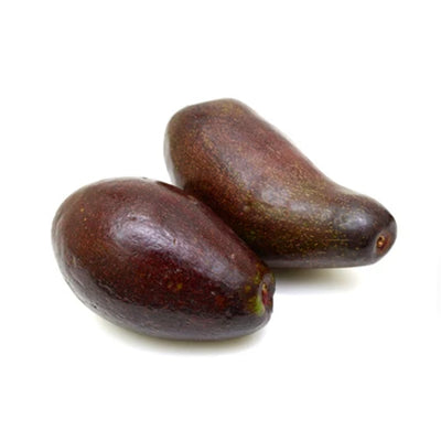 Palta negra de la cruz