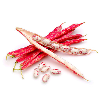 Porotos granados (en vaina)