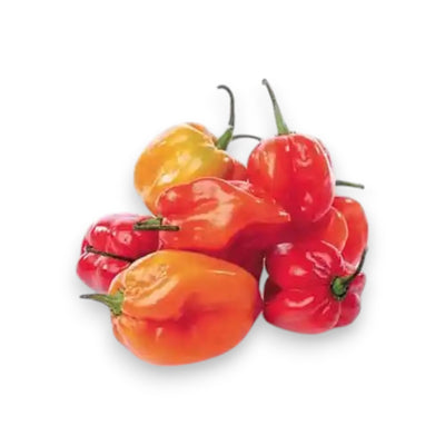 Ají habanero 1 un