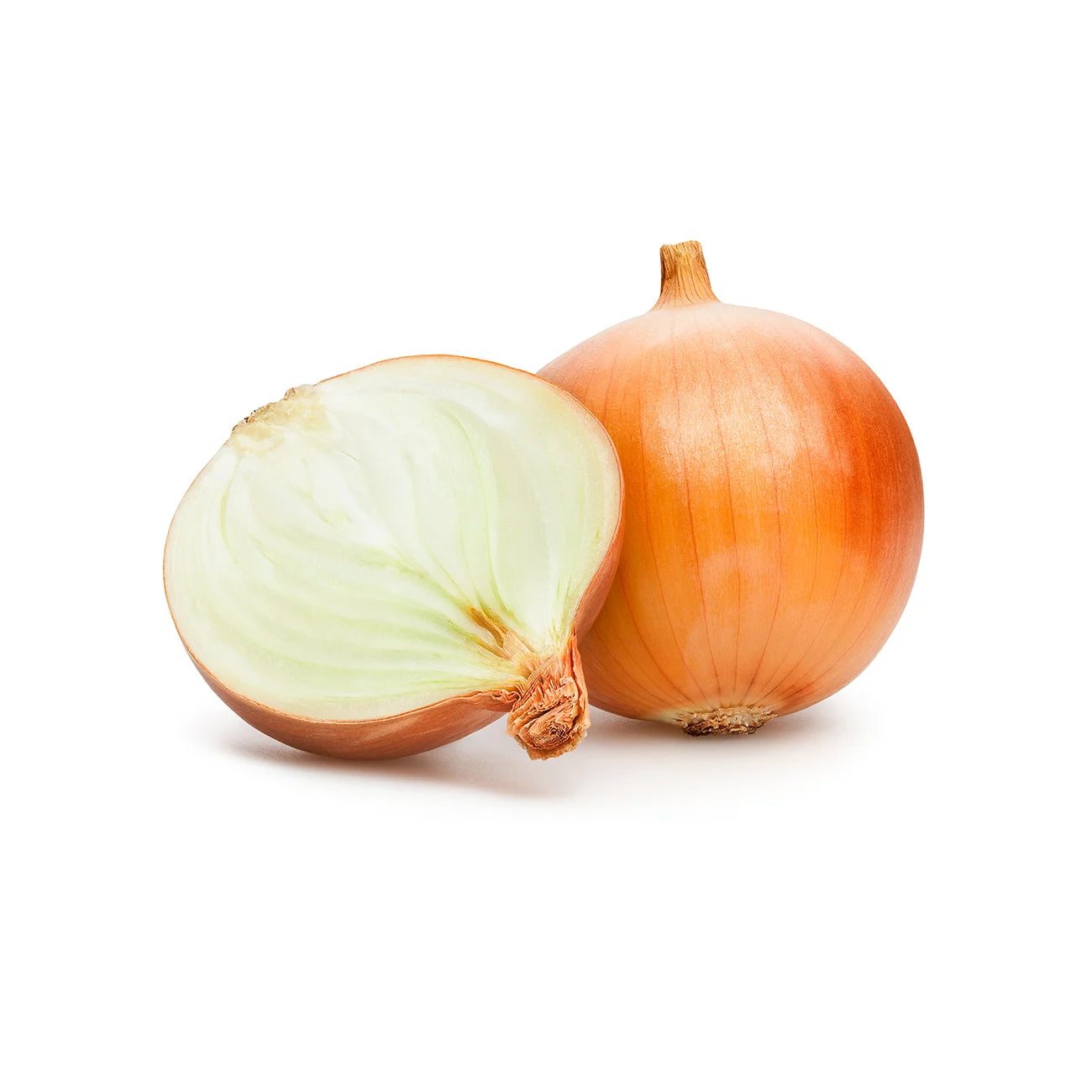 Cebolla